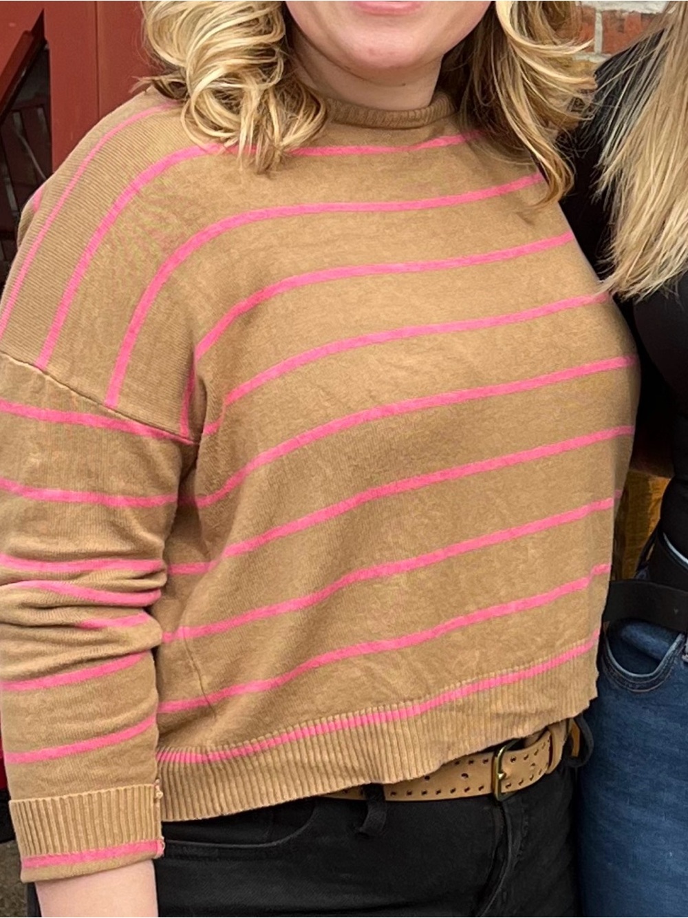 Wishlist Camel Crewneck Sweater with Pink Stripes